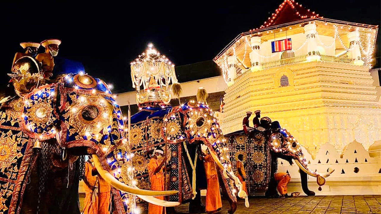 Kandy Esala Perahera - Dag 11 (kaartjes en zitplaatsen)