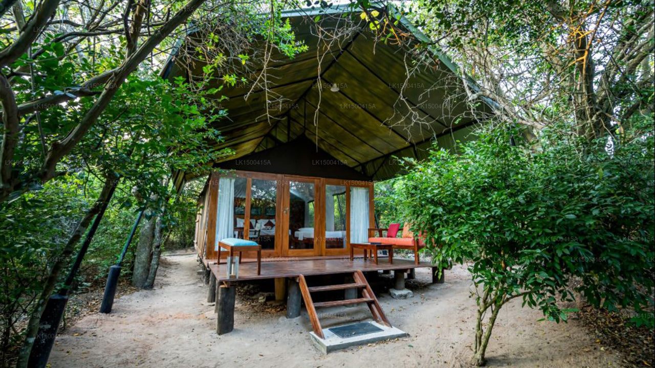 Wild Trails Yala Eco Camp by Yoho, Yala