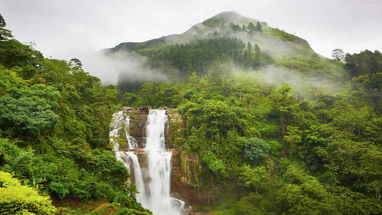 Ceybank Rest, Nuwara Eliya