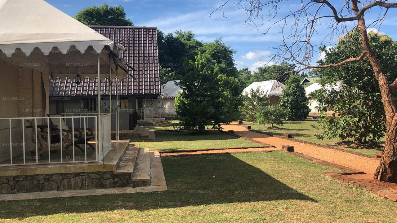 Rangiri Dambulla Resort, Dambulla