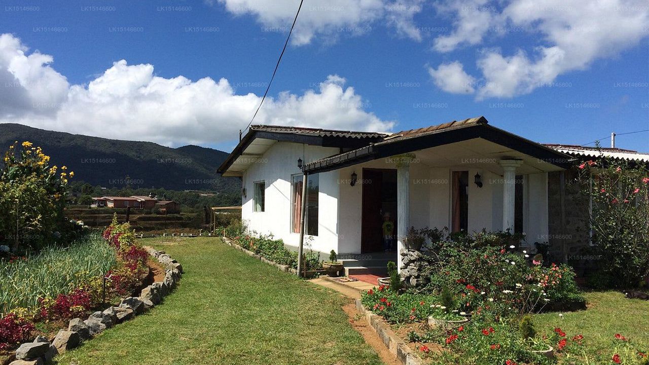 Happiness Lodge, Nuwara Eliya