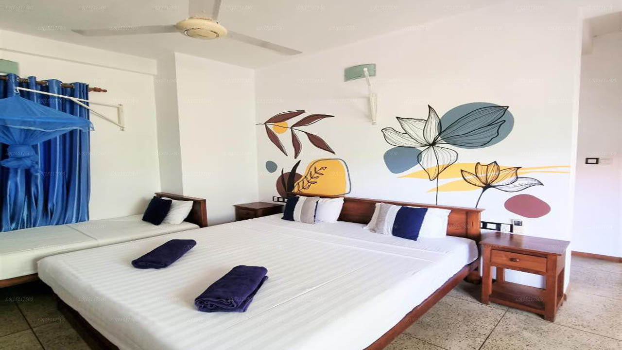 Blue Turtle Hotel, Tissamaharama