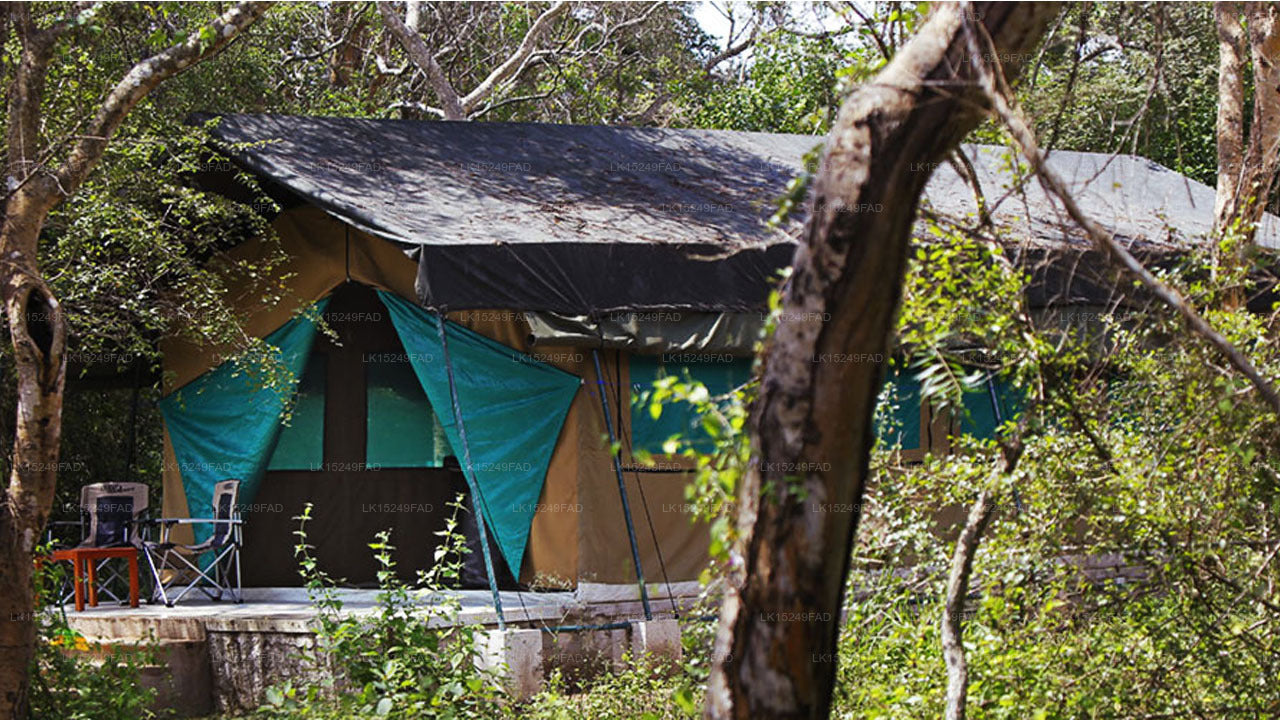 Safarikamp Wilpattu bevindt zich in Wilpattu.