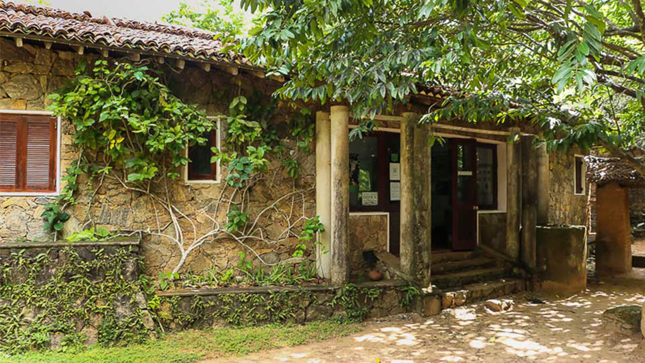 Arboretum van Popham, Dambulla