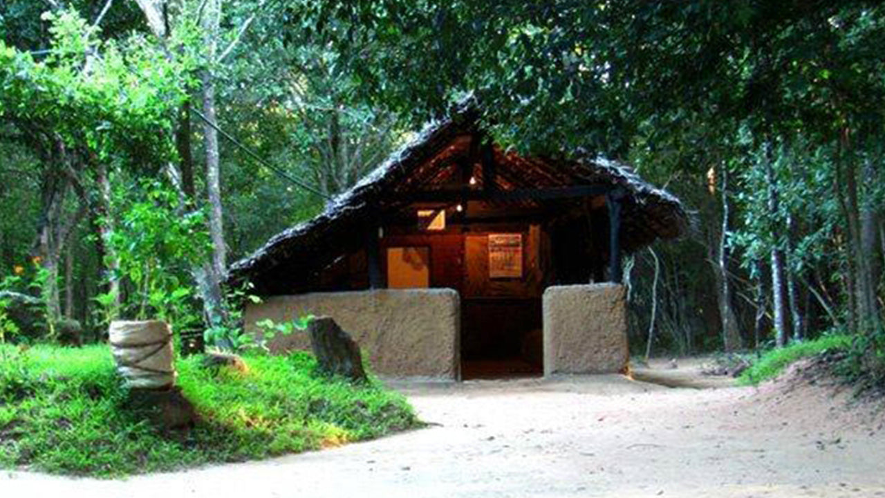 Arboretum van Popham, Dambulla