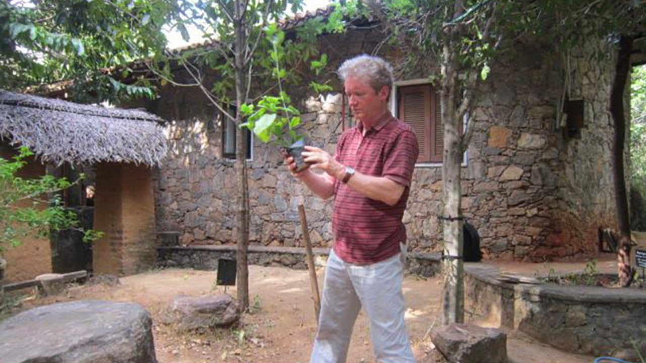 Arboretum van Popham, Dambulla