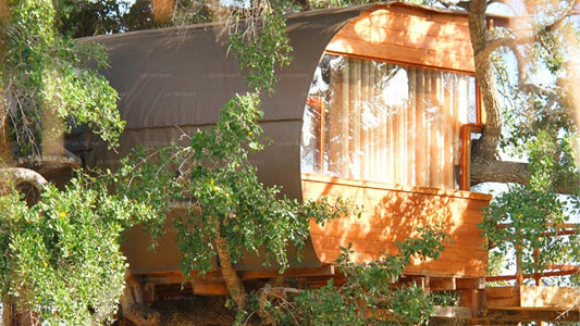 Leopard Nest, Yala