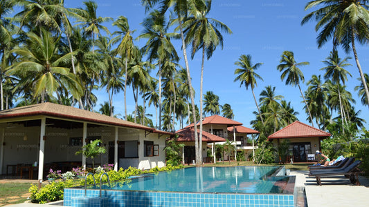 Lanka Beach Bungalows, Tangalle