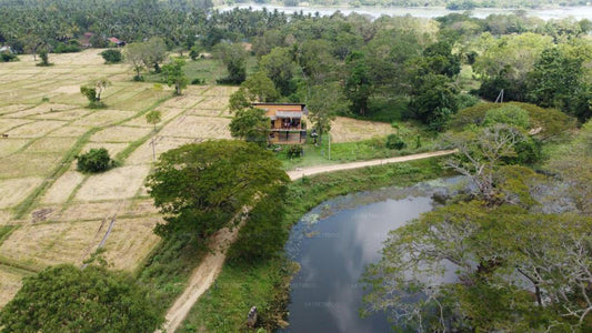 De loft aan het meer, Kurunegala