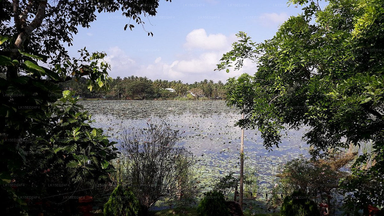 Heritage Lake View, Anuradhapura