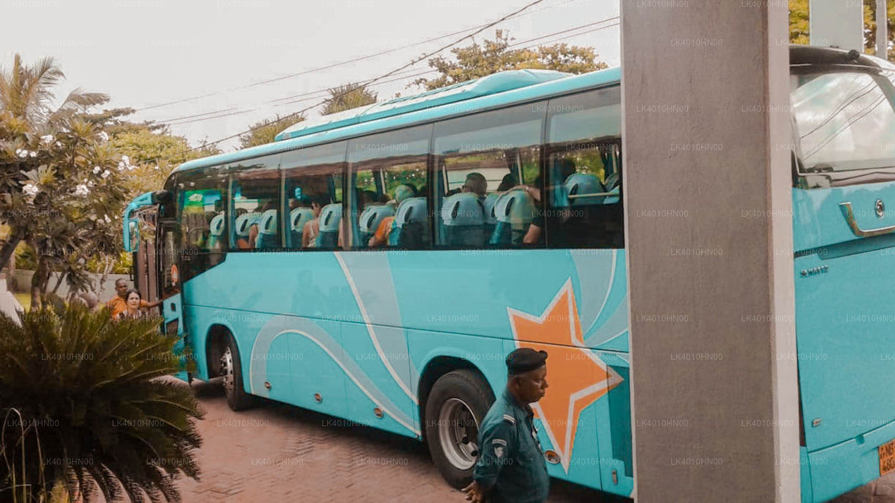 Privétransfer van Pasyala City naar de luchthaven van Colombo (CMB)