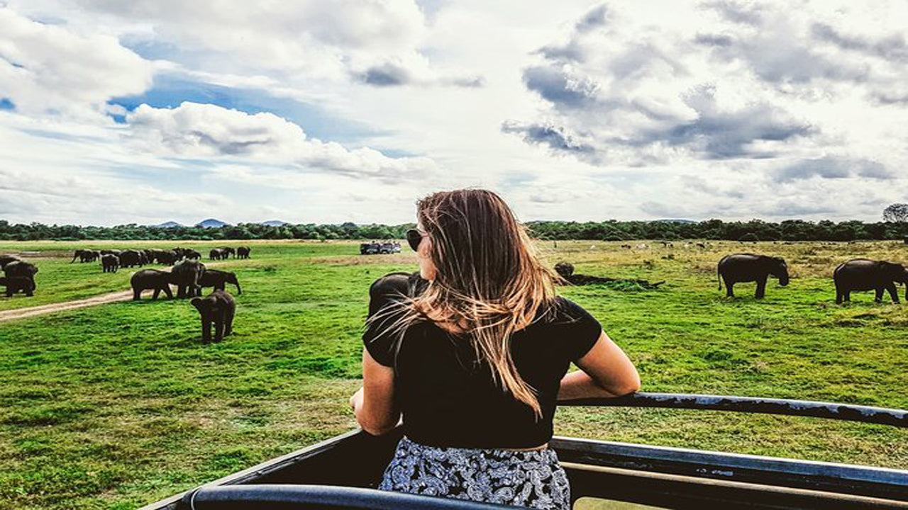 Kaudulla National Park Privésafari vanuit Habarana inclusief jeep met kaartjes (3 uur)