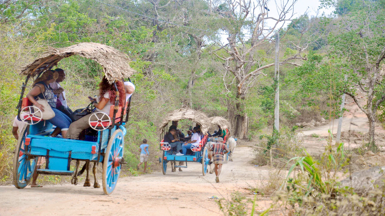 Rondleiding en lunch door het dorp Sigiriya