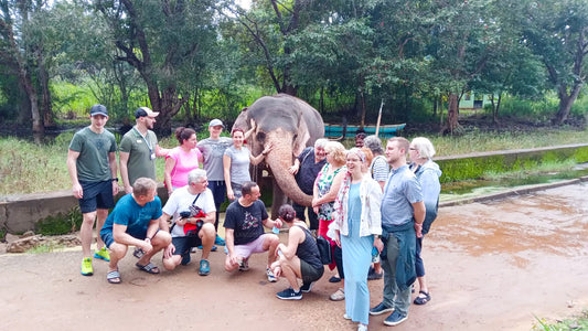 Safari met olifantenrug vanuit Habarana