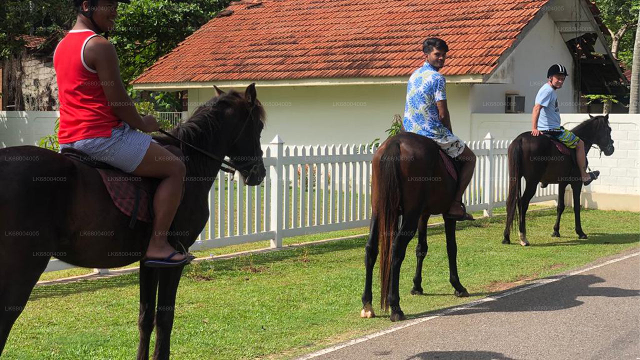 Horse Riding for Professionals from Negombo