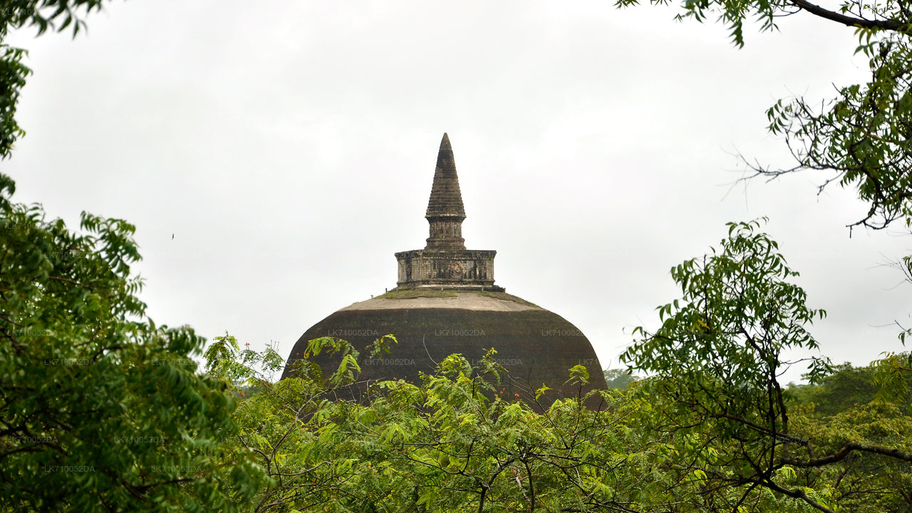 Entreeticket voor de archeologische vindplaats Polonnaruwa