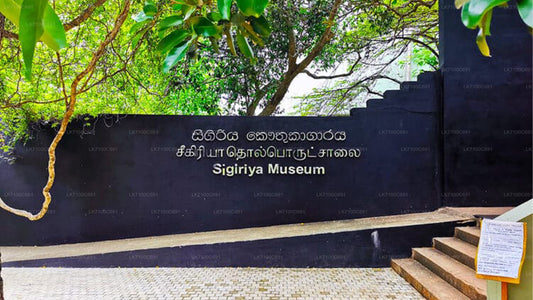 Sigiriya Museum Entrance Ticket