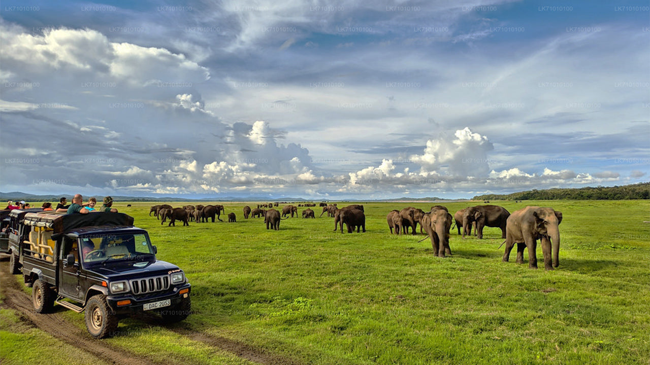 Entreekaartjes voor Hurulu Eco Park