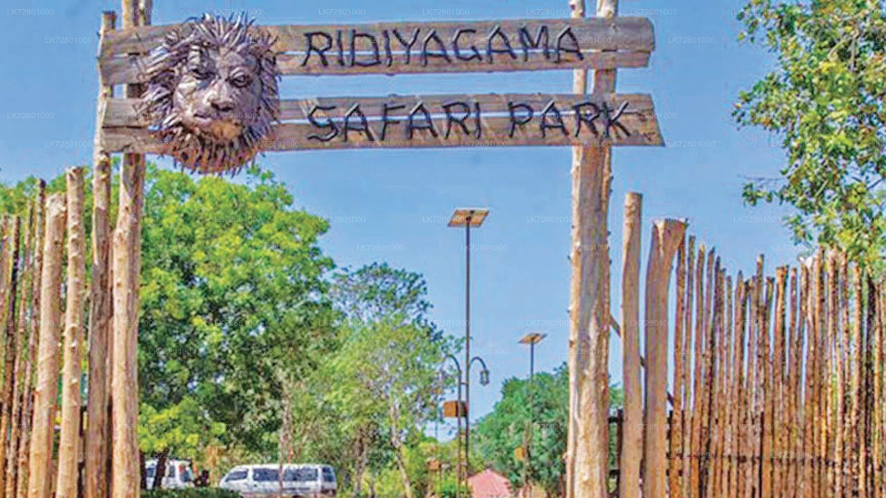 Ridiyagama Safari Park Entrance Tickets