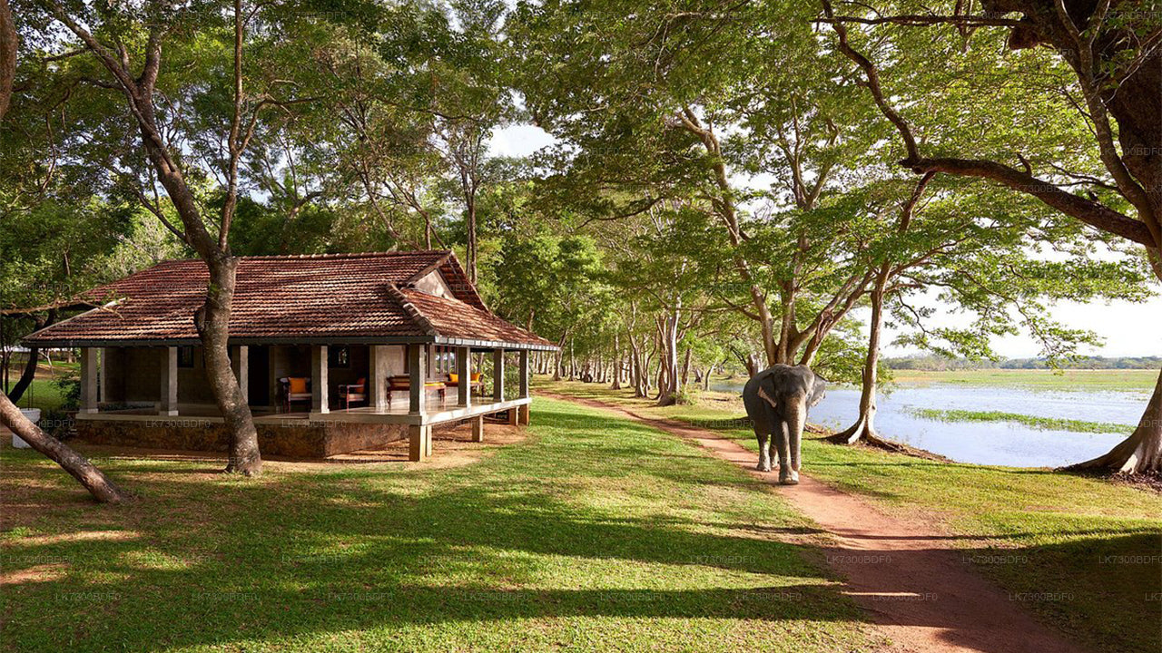 Camping in Habarana