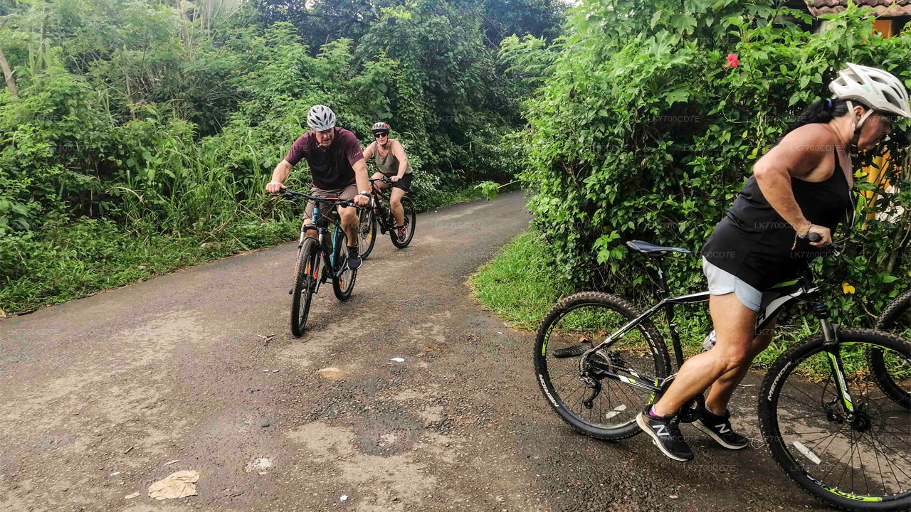 Leuke fietstocht met het hele gezin vanuit Galle