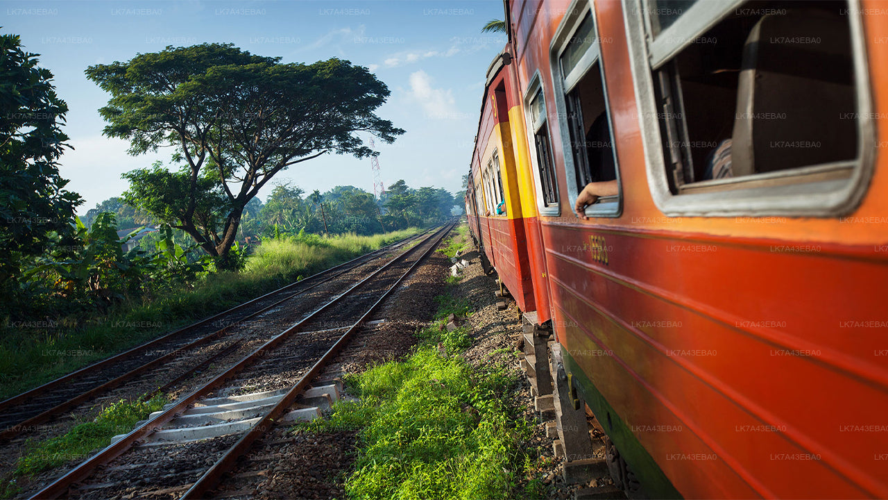 Reservering van treinkaartjes van Kandy naar Ella, Nanu Oya en Badulla