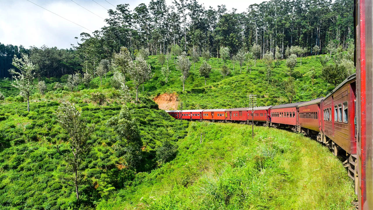 Reservering van treinkaartjes van Kandy naar Ella, Nanu Oya en Badulla