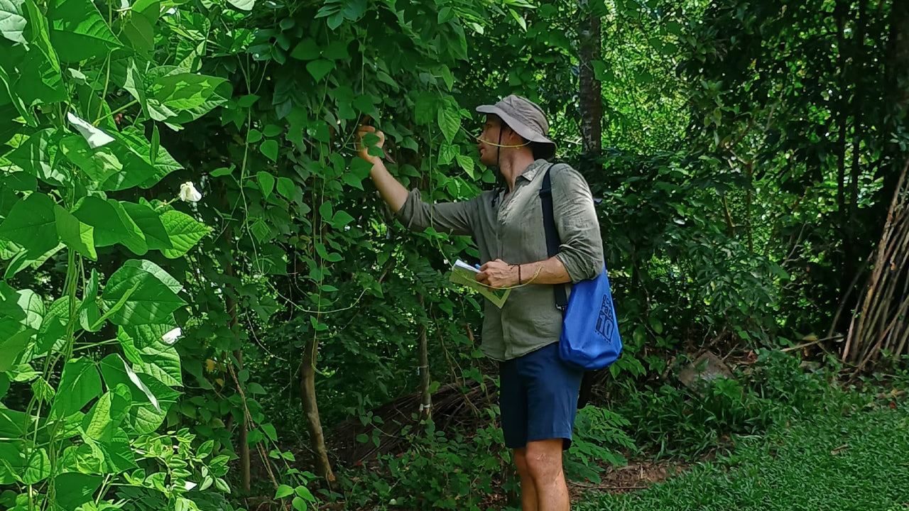 Ontdek de biodiversiteit op Midigama Fruit Farm