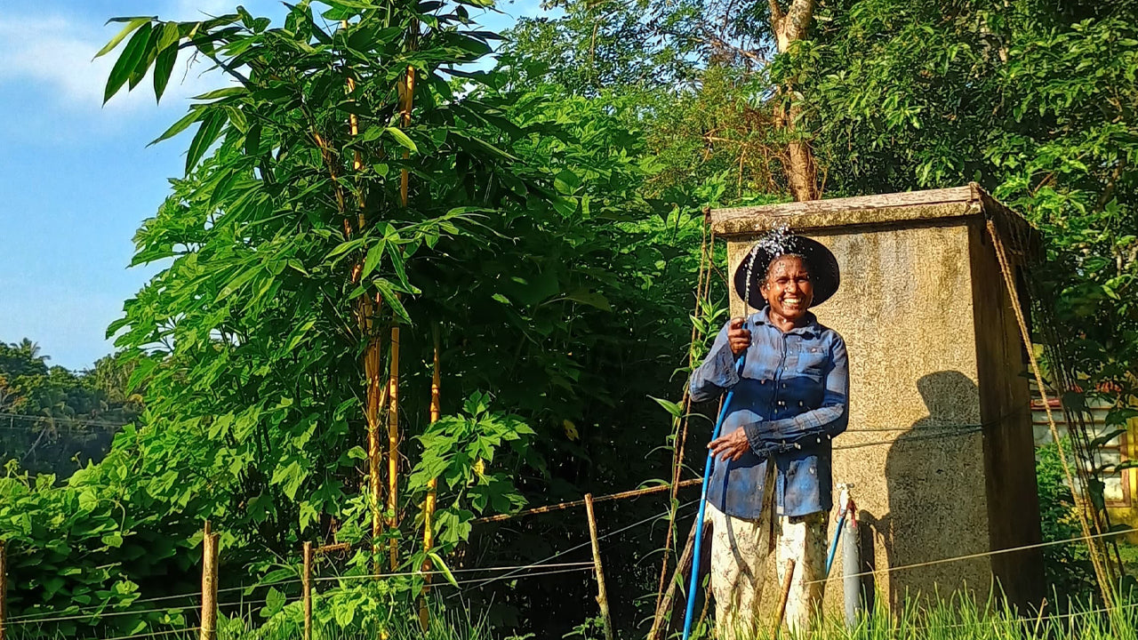 Ontdek de biodiversiteit op Midigama Fruit Farm