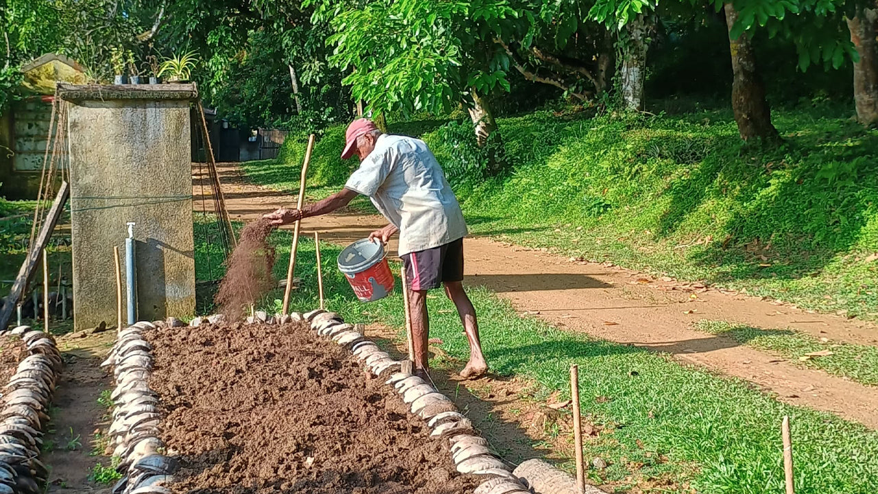 Ontdek de biodiversiteit op Midigama Fruit Farm