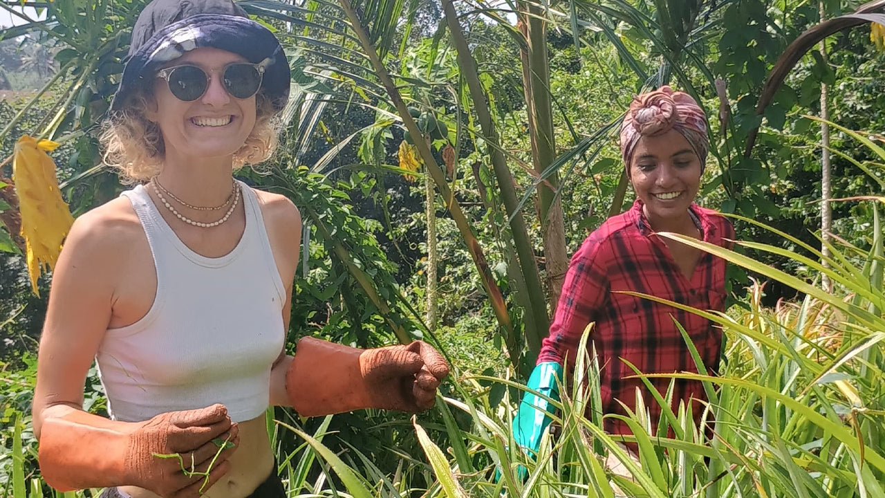 Ontdek de biodiversiteit op Midigama Fruit Farm