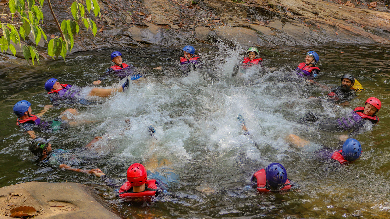 Geavanceerde canyoning vanuit Kitulgala