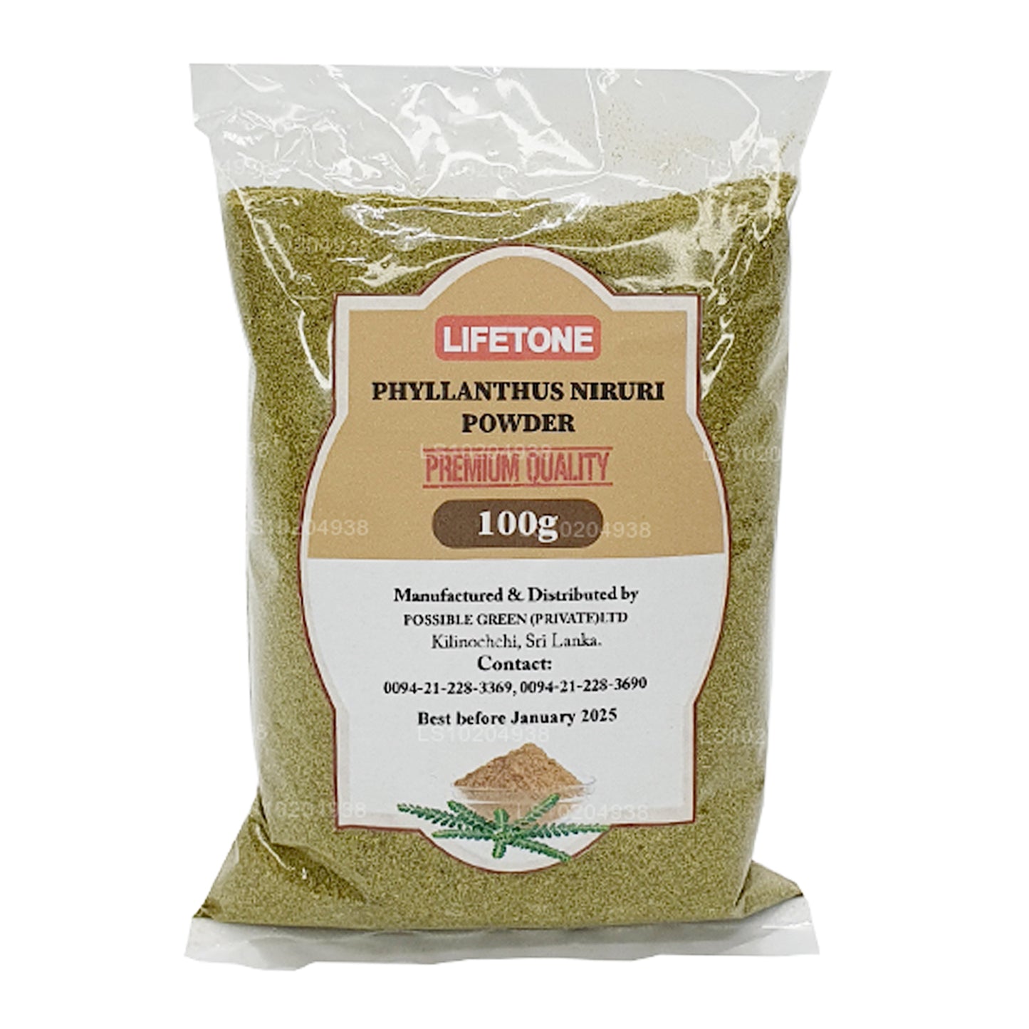 Lifetone Phylanthus Niruri-poeder (100 g)
