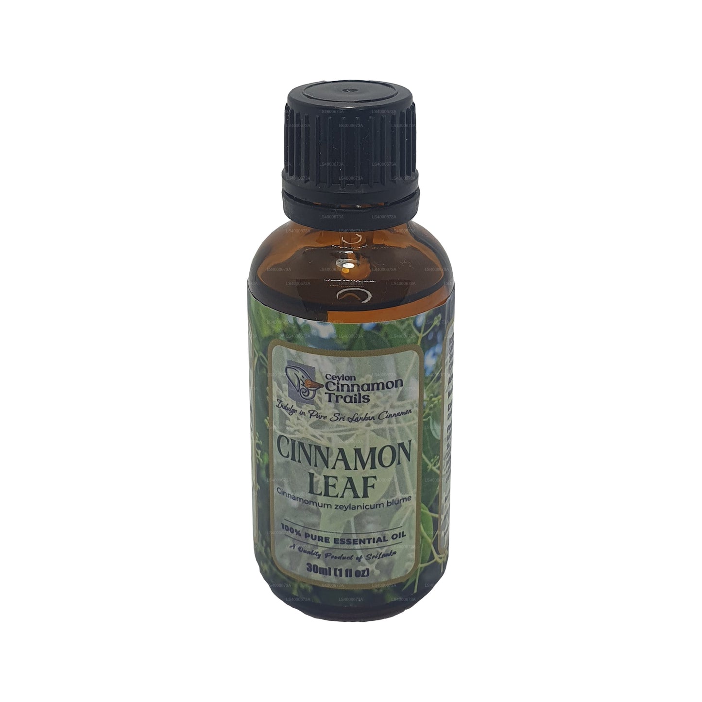 Ceylon Cinnamon Trails Cinnamon Leaf Essentials-olie (10 ml)