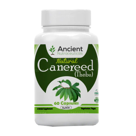 Ancient Nutra Thebu „Canereed” (60 capsules)