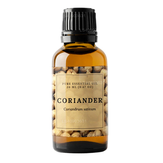 Lakpura etherische olie van koriander (20 ml)