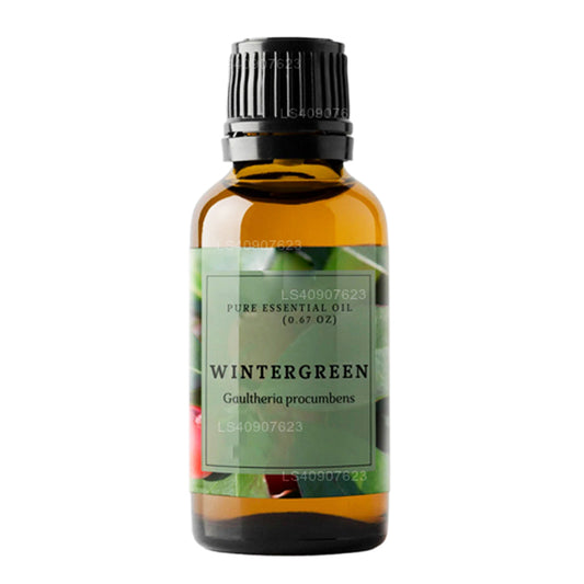 Lakpura Wintergreen etherische olie (15 ml)
