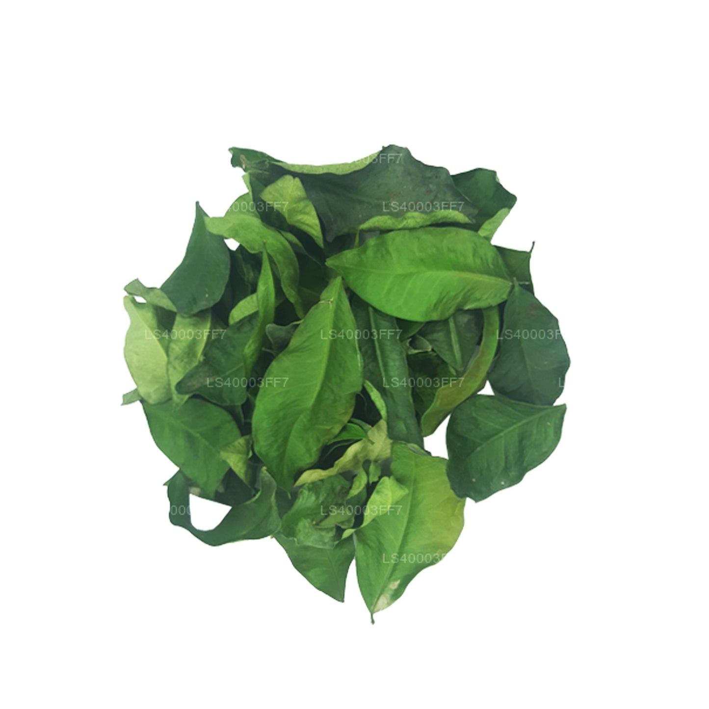 Lakpura gedehydrateerde bladeren van Yaki Naran (Atalantia Ceylanica) (100 g)