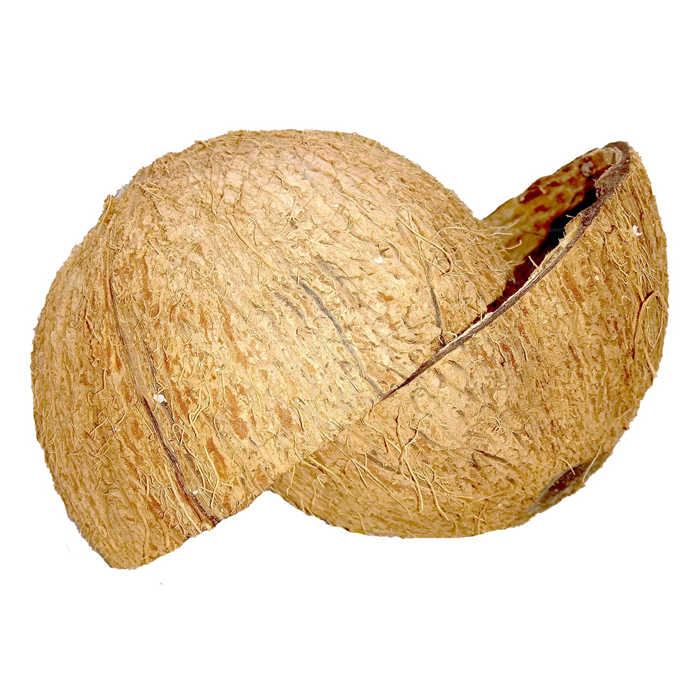 Kokosnootschaalhelften (2 stuks)