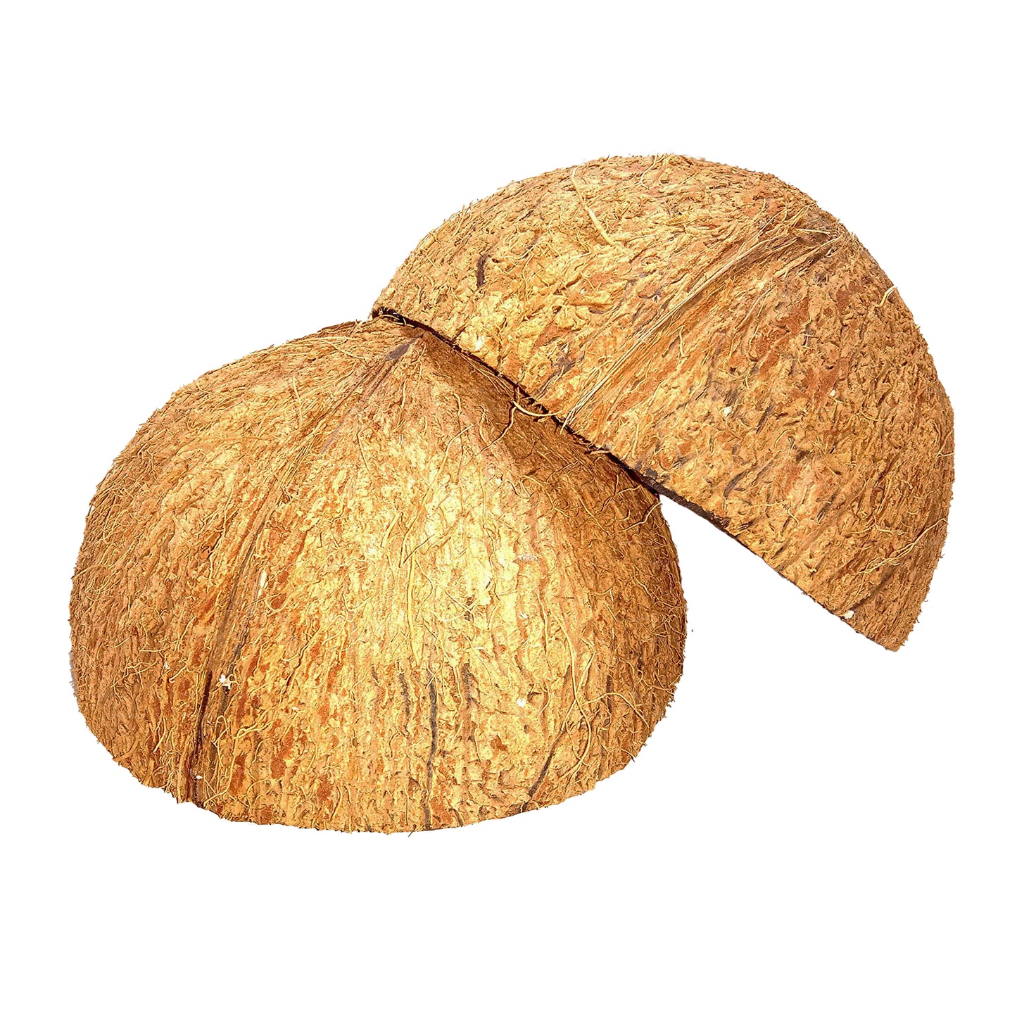 Kokosnootschaalhelften (2 stuks)