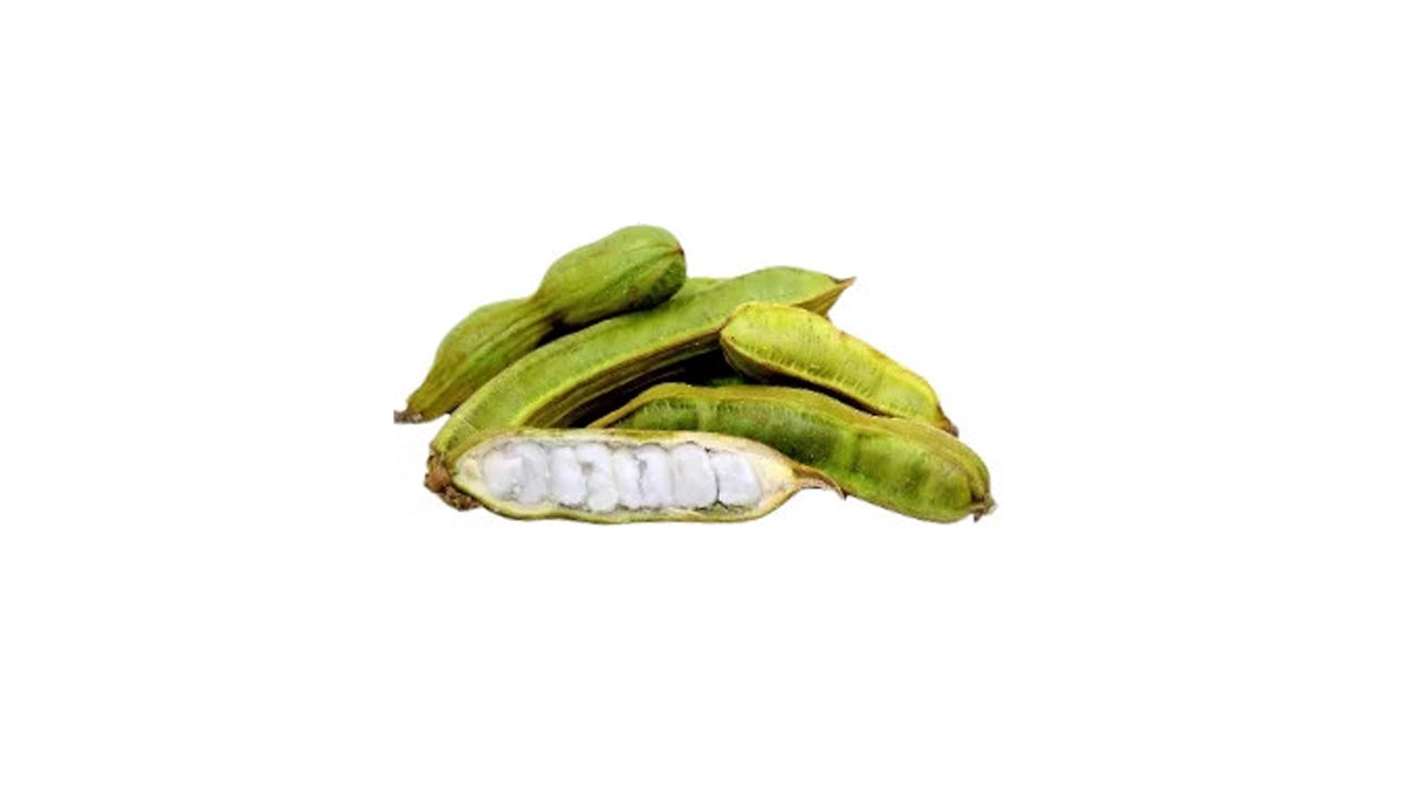 Ice Cream Fruit (අයිස් ක්‍රීම් පළතුර බද්ධ) Fruit Plant