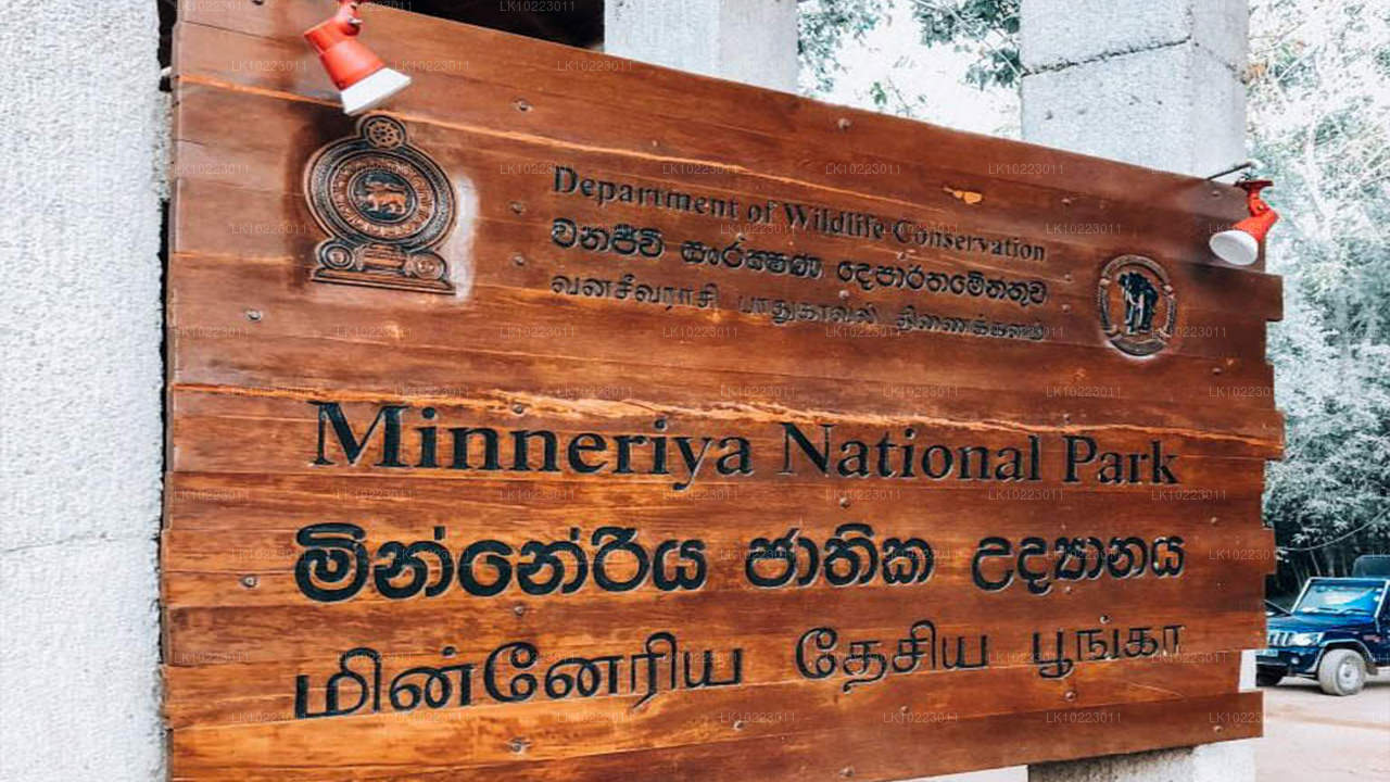 Sigirya en Minneriya vanuit Negombo (2 dagen)