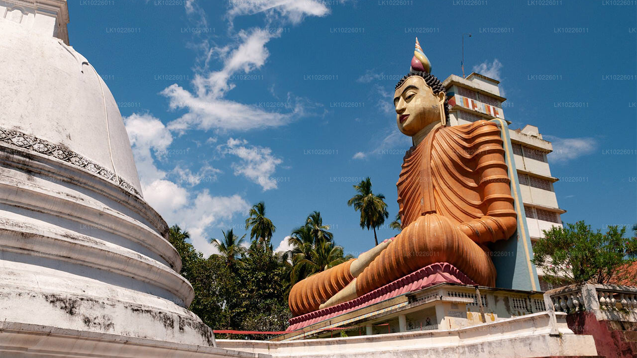 Tempels en wildernis vanuit Negombo (2 dagen)