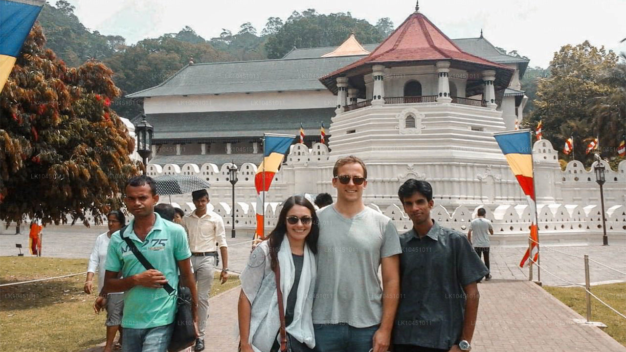 Rondreis door Lanka vanuit Colombo (4 dagen)