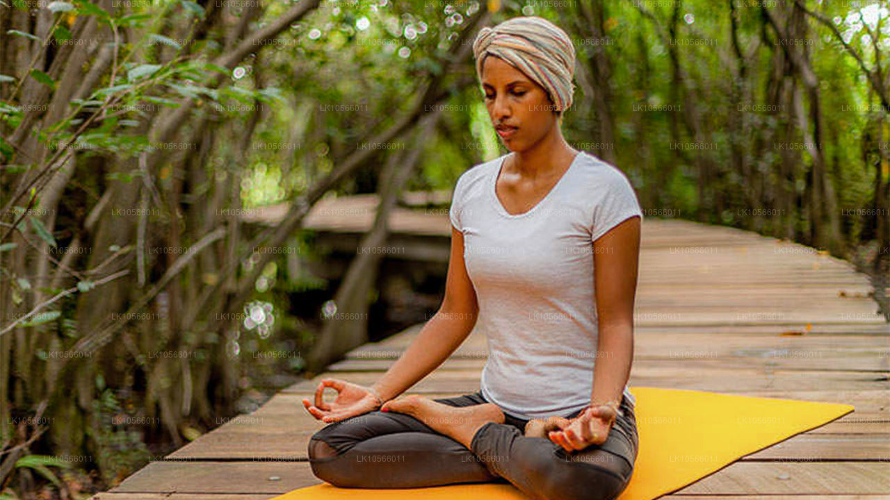 Meditatie- en yogatour (5 dagen)