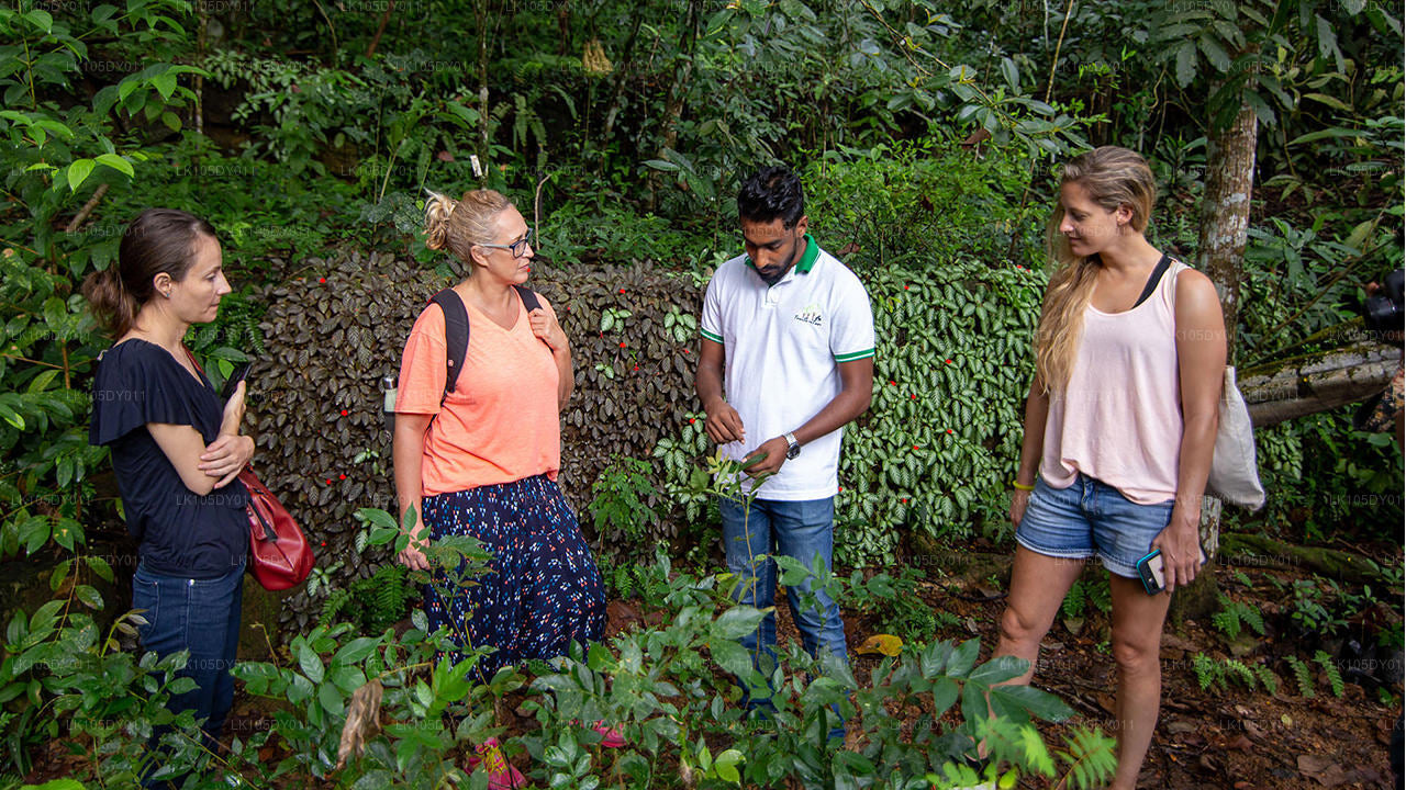 Agro-rondreis door Sri Lanka (5 dagen)