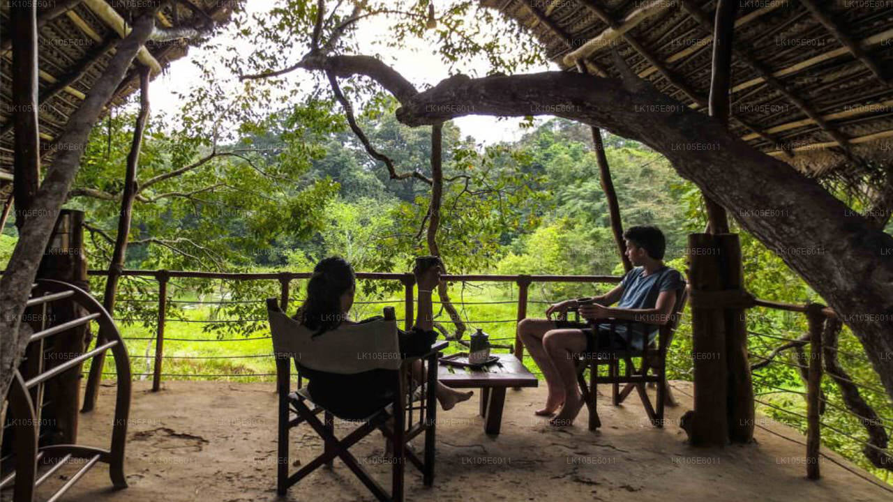 Eco-rondreizen door Sri Lanka (6 dagen)
