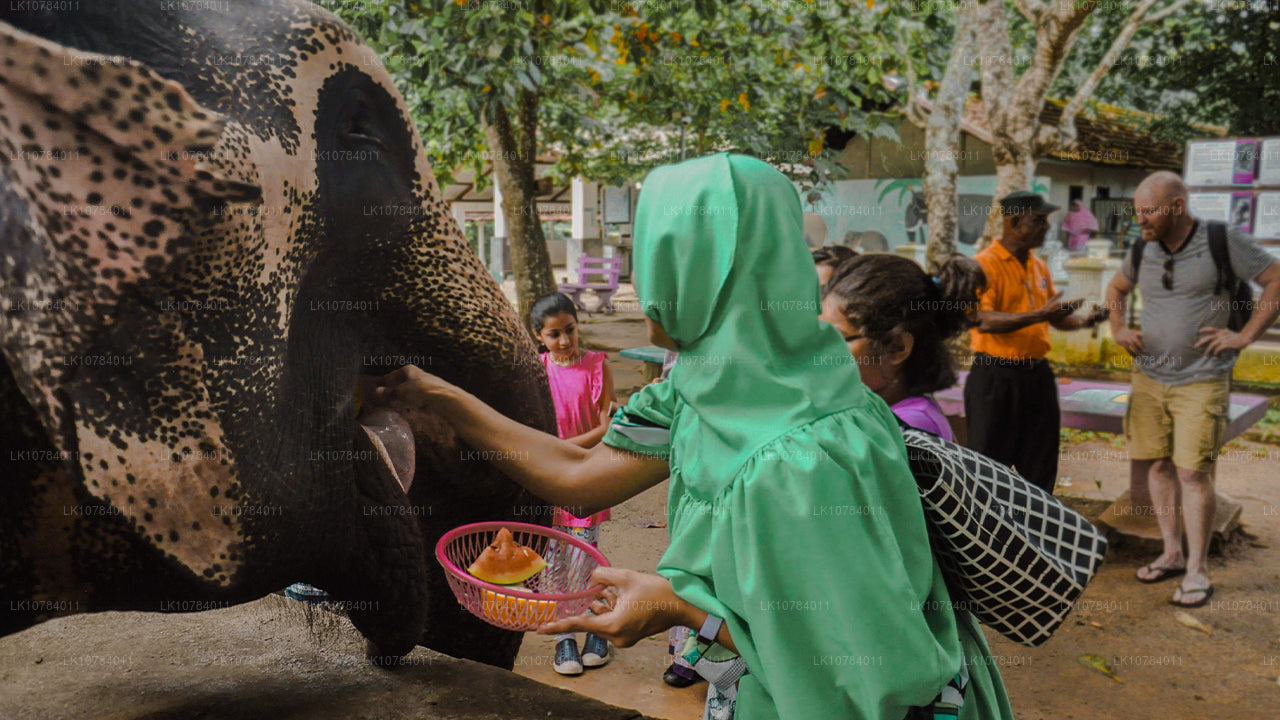 Halal (islamitisch) rondreis door Sri Lanka (7 dagen)