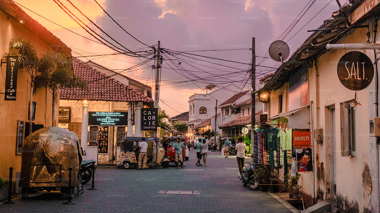 Hoogtepunten van Sri Lanka (10 dagen)