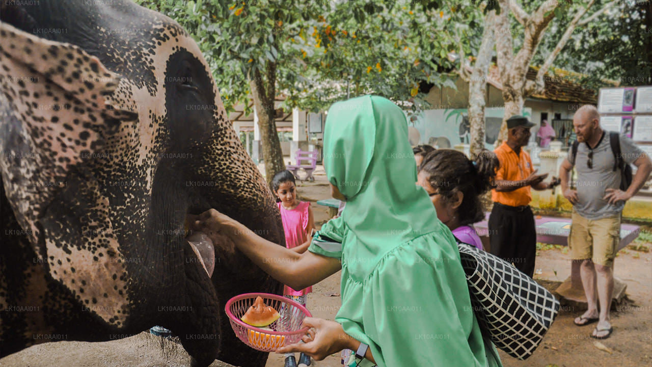 Halal (islamitisch) rondreis door Sri Lanka (10 dagen)